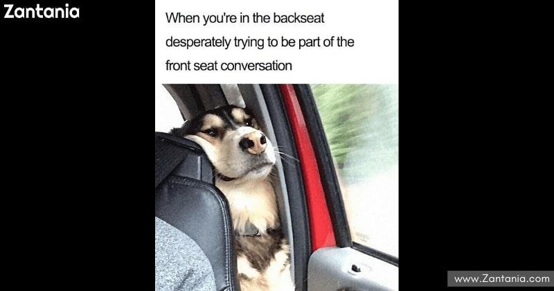 travel meme