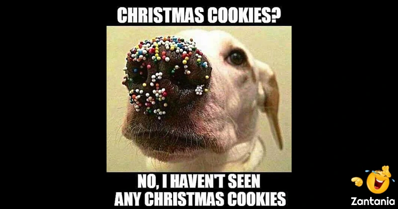 Christmas meme