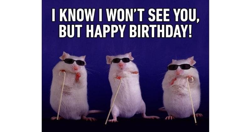 Happy birthday meme