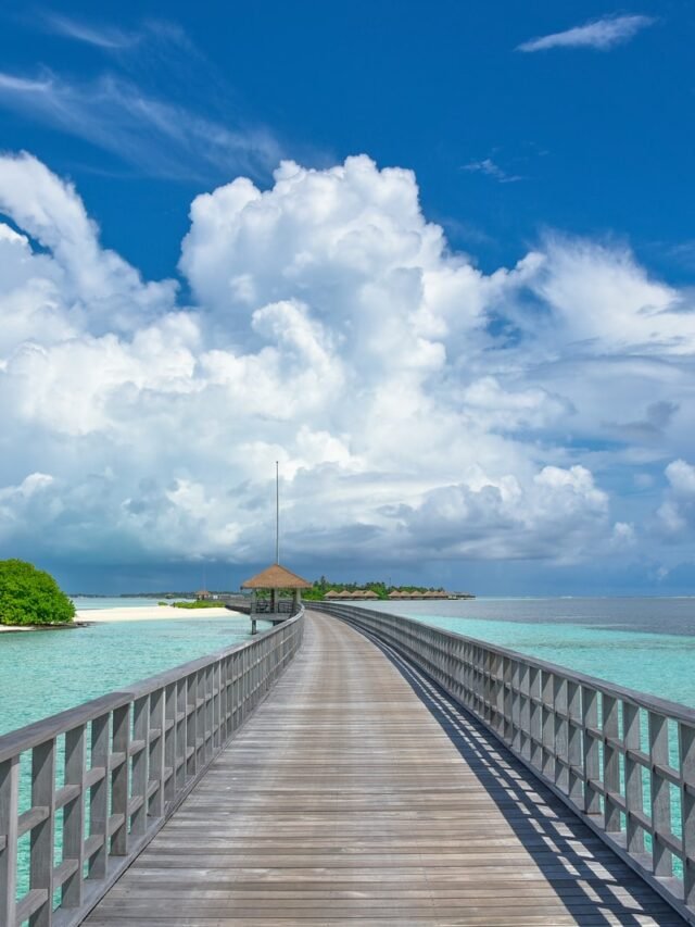 brown wooden dock on blue sea under blue and white cloudy sky during daytime