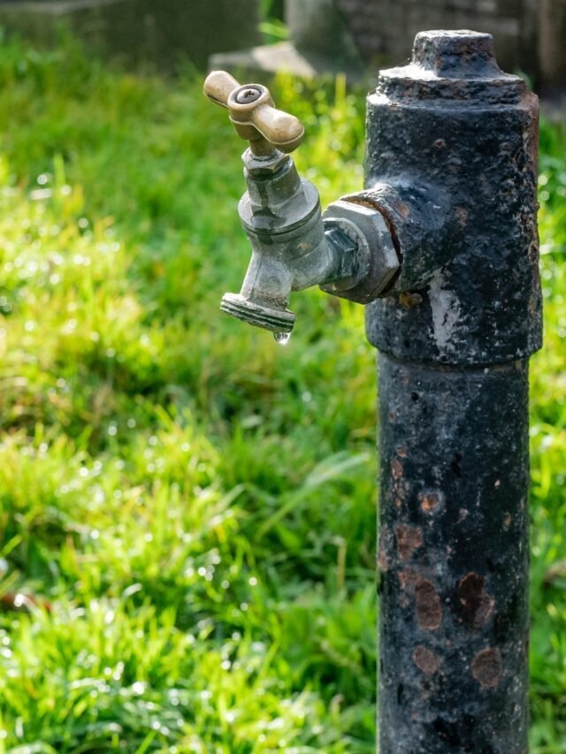 How to conserve water?